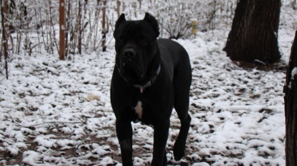 Александр Заволокин | Фастов