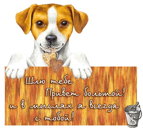 Ильдар Зайнутдинов | Казань