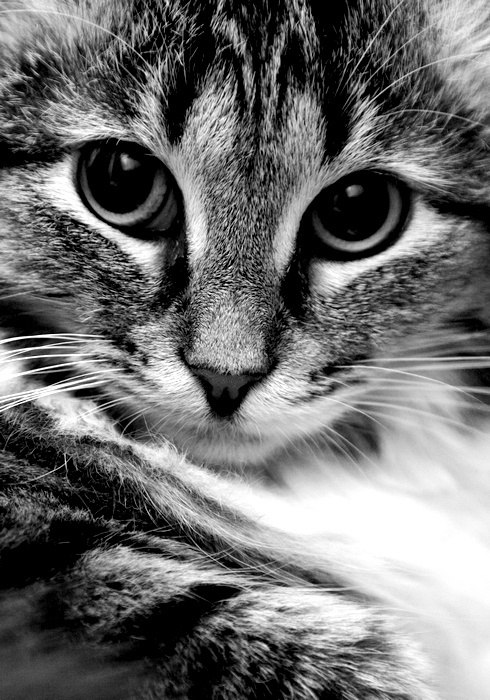 Нина Потапова | Москва