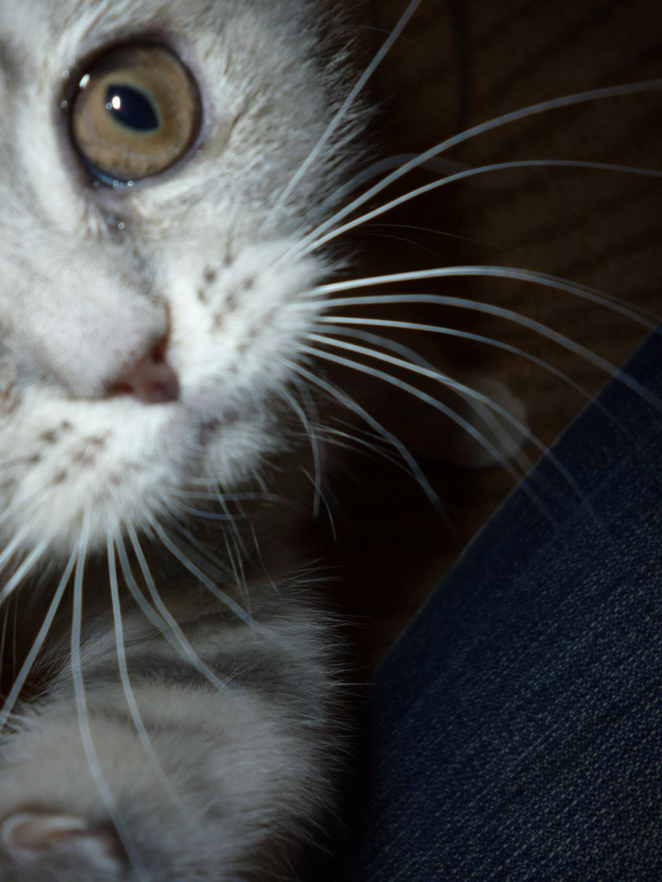 Ирина Березина ۰•●К©İţΑ●•۰ | Ступино