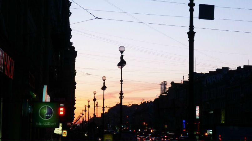 Анна Домнишор | Долгопрудный