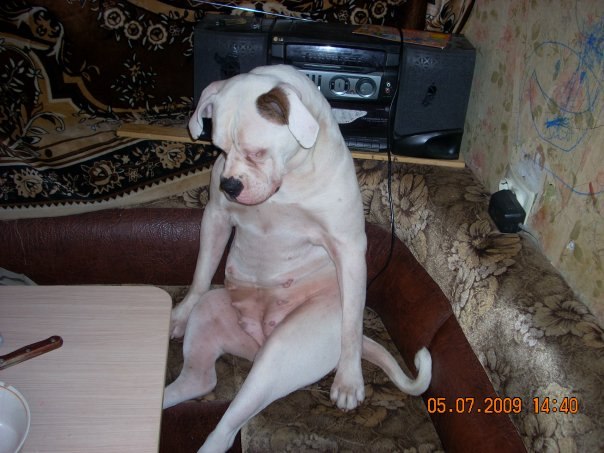 Евгения Непомнящая | Санкт-Петербург