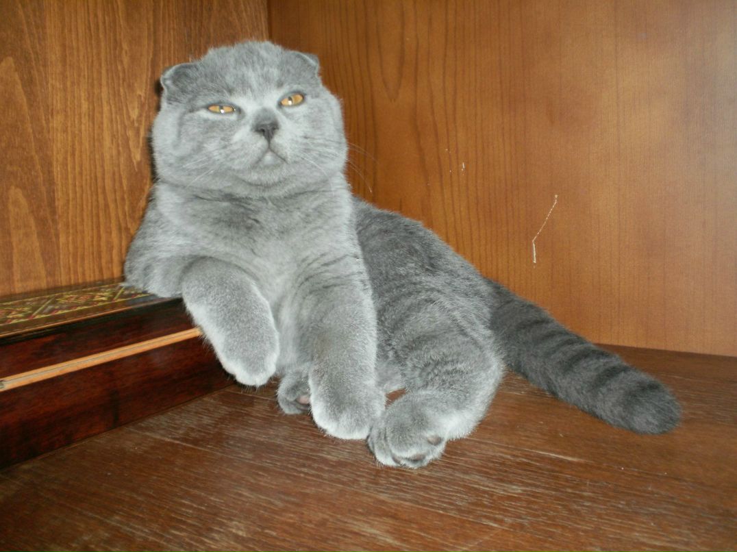 Анна Горбачева | Киев