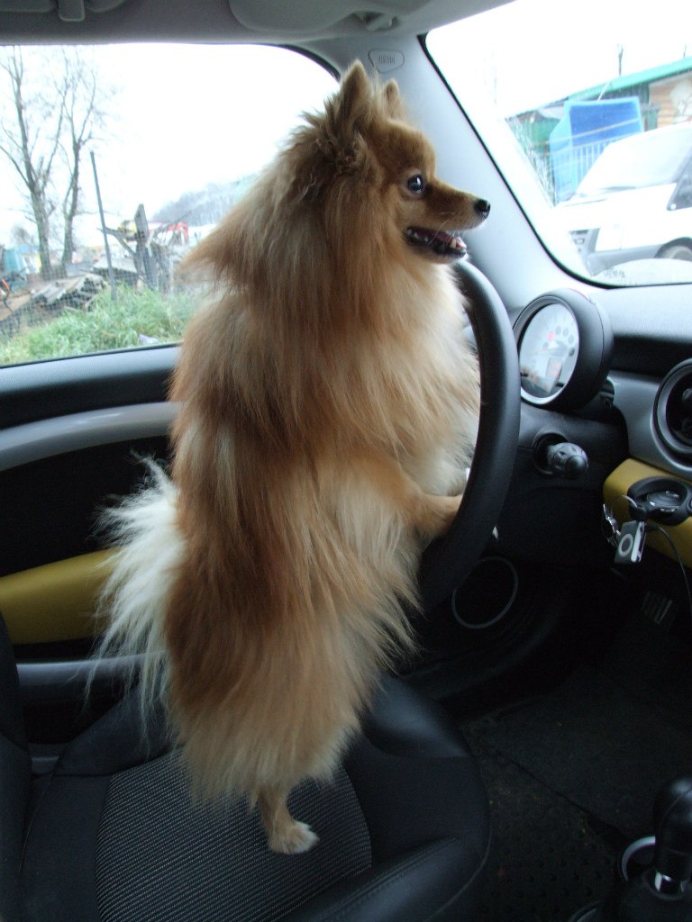 Оля Буянова | Москва