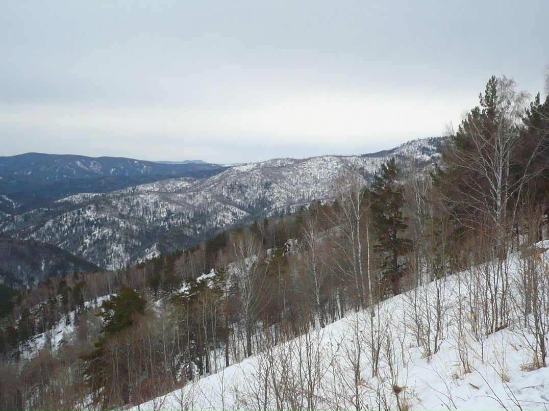 Сергей Рябухин | Калининград