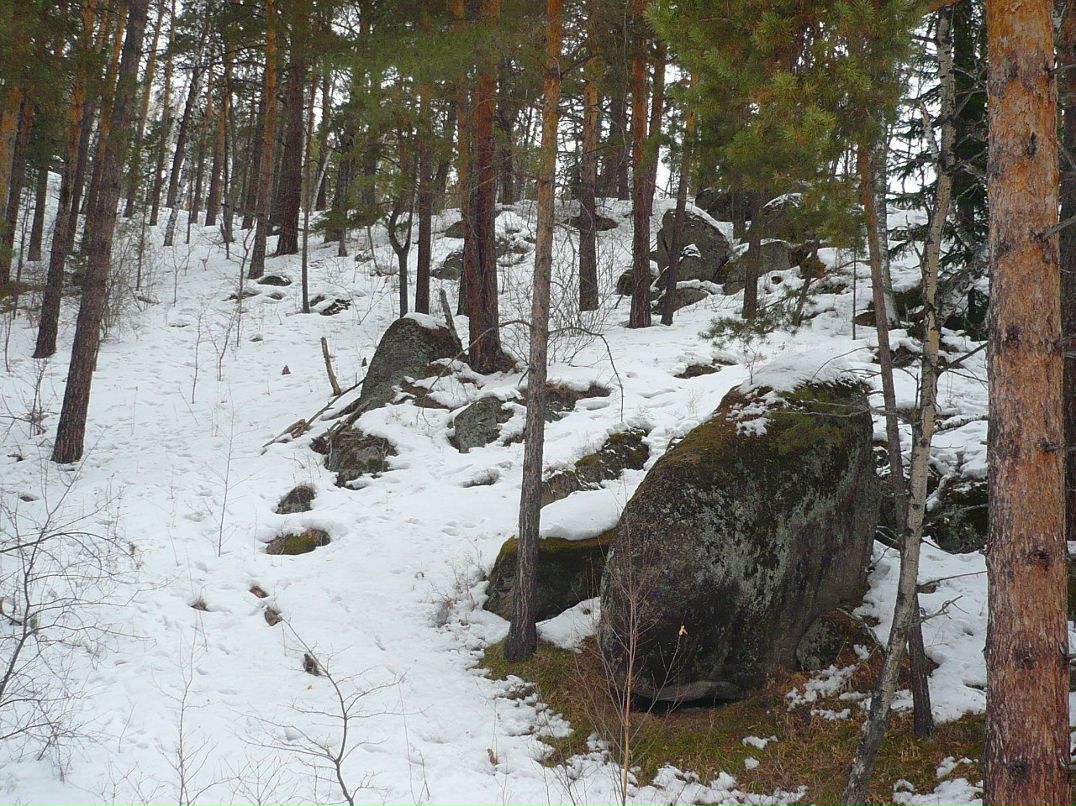 Сергей Рябухин | Калининград