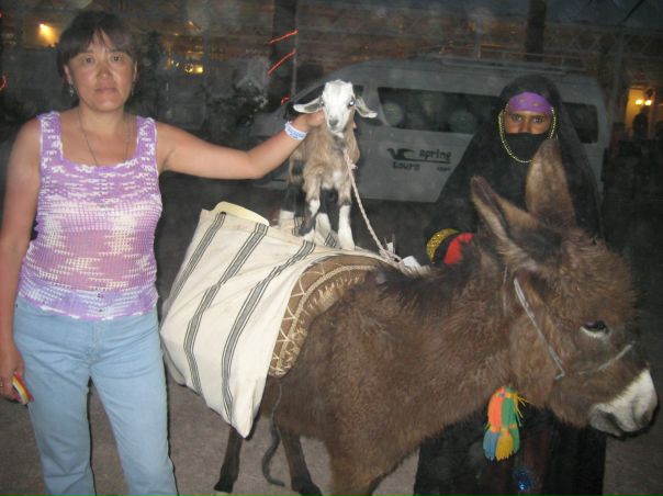 №5, Лиза Ким, Санкт-Петербург №5, Лиза Ким, Санкт-Петербург