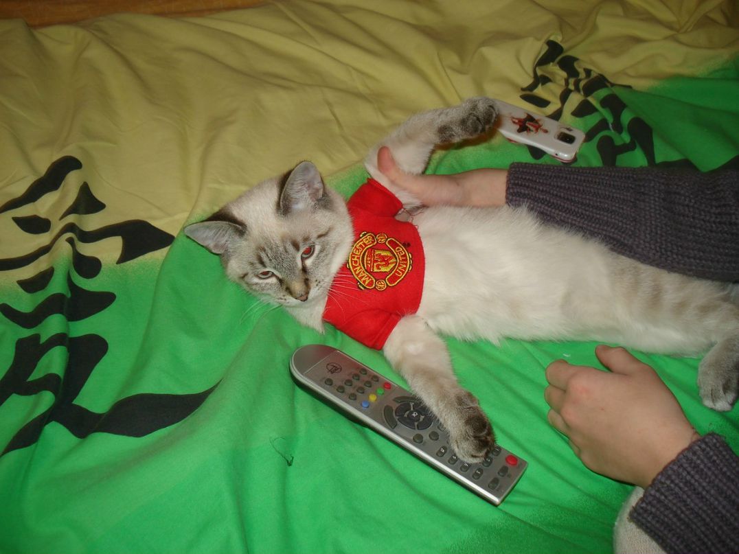 Illya Bondar | Киев