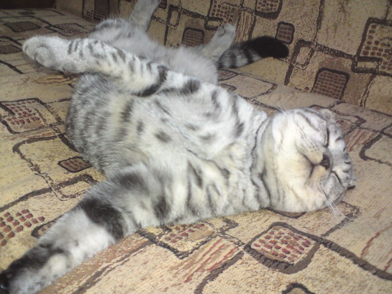 Илья Ручейков | Кострома