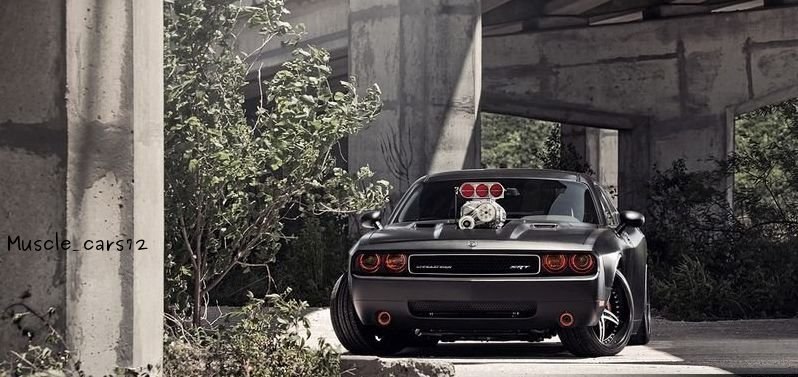 Maksim Makorin | Алматы