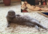 №3 Леона Цветкова : профиль, фото, статус - ВКонтакте