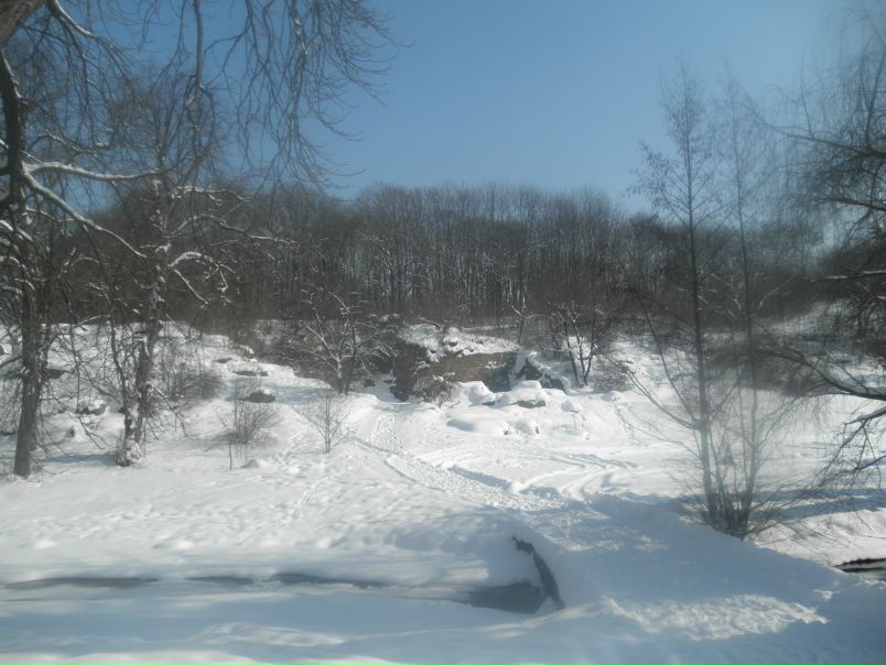 №8, Денис Загребной, 35 лет, Николаев №8, Денис Загребной, 35 лет, Николаев