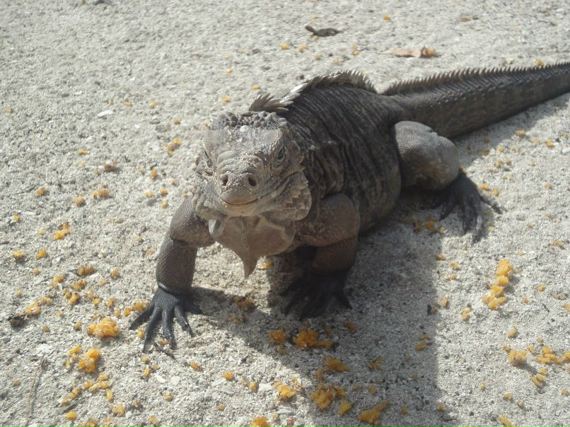 Рома Дашкевич | Мурманск