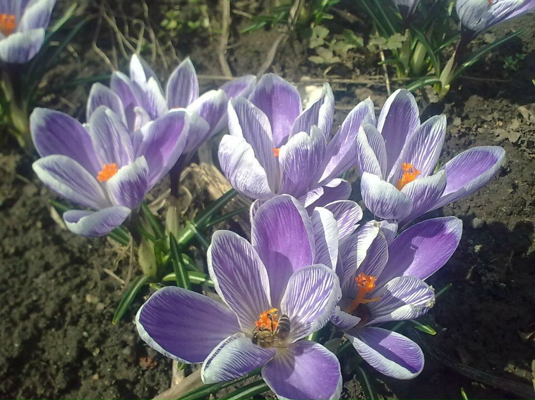 Александр Воеводин | Луганск