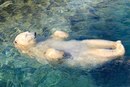 Фотография Антон Каримов