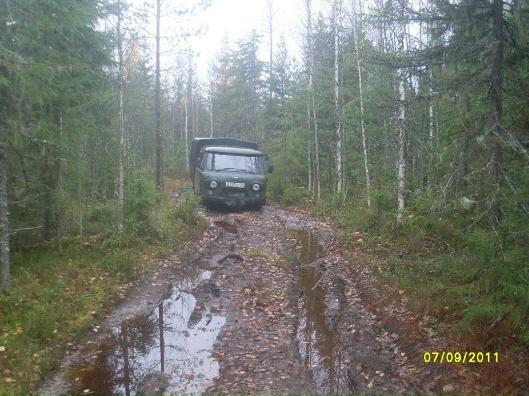 Татьяна Кузнецова | Березник