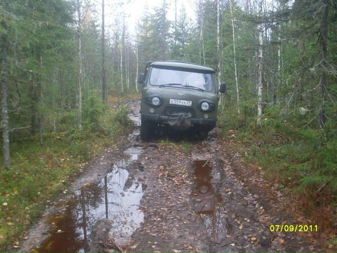 Татьяна Кузнецова | Березник
