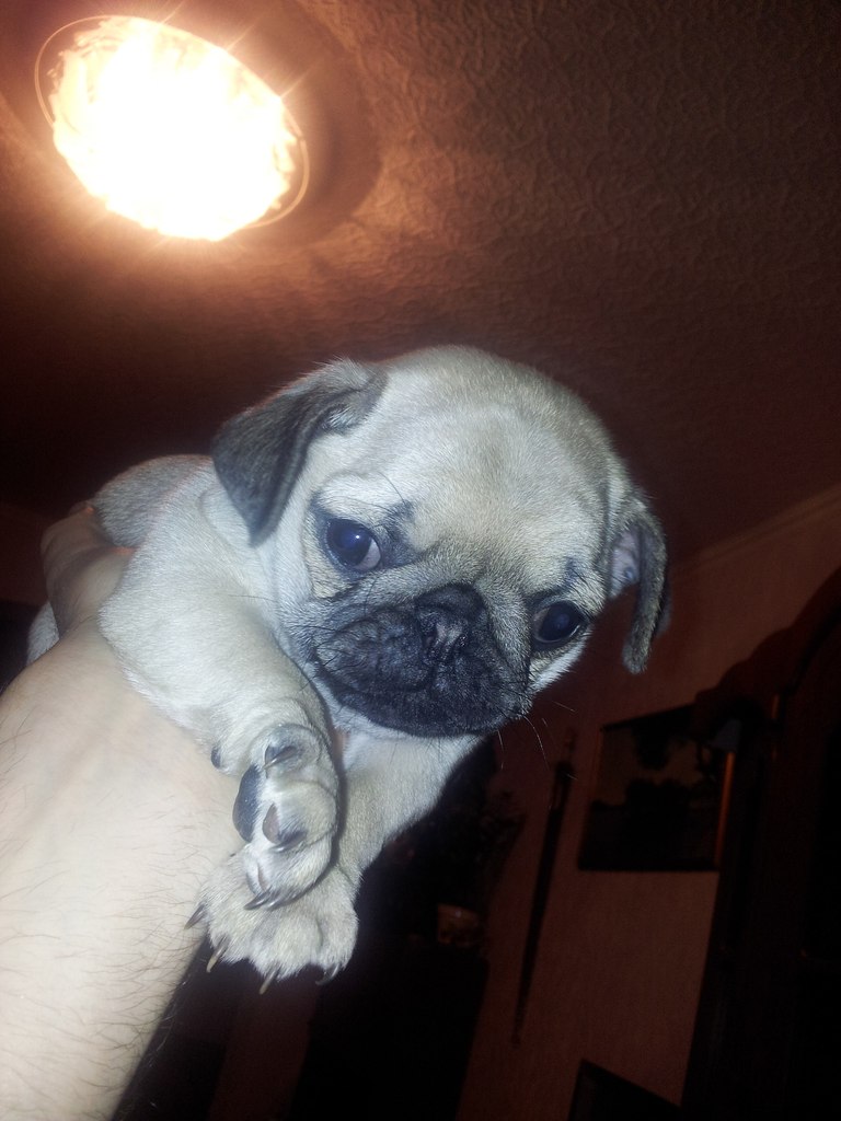 Кирилл Галаган | Киев