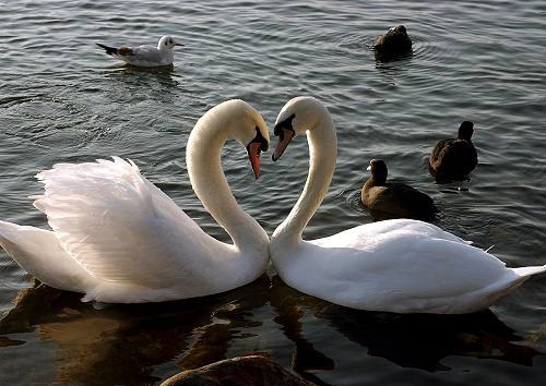 №20, Моника Орбидане, 35 лет, Рига №20, Моника Орбидане, 35 лет, Рига