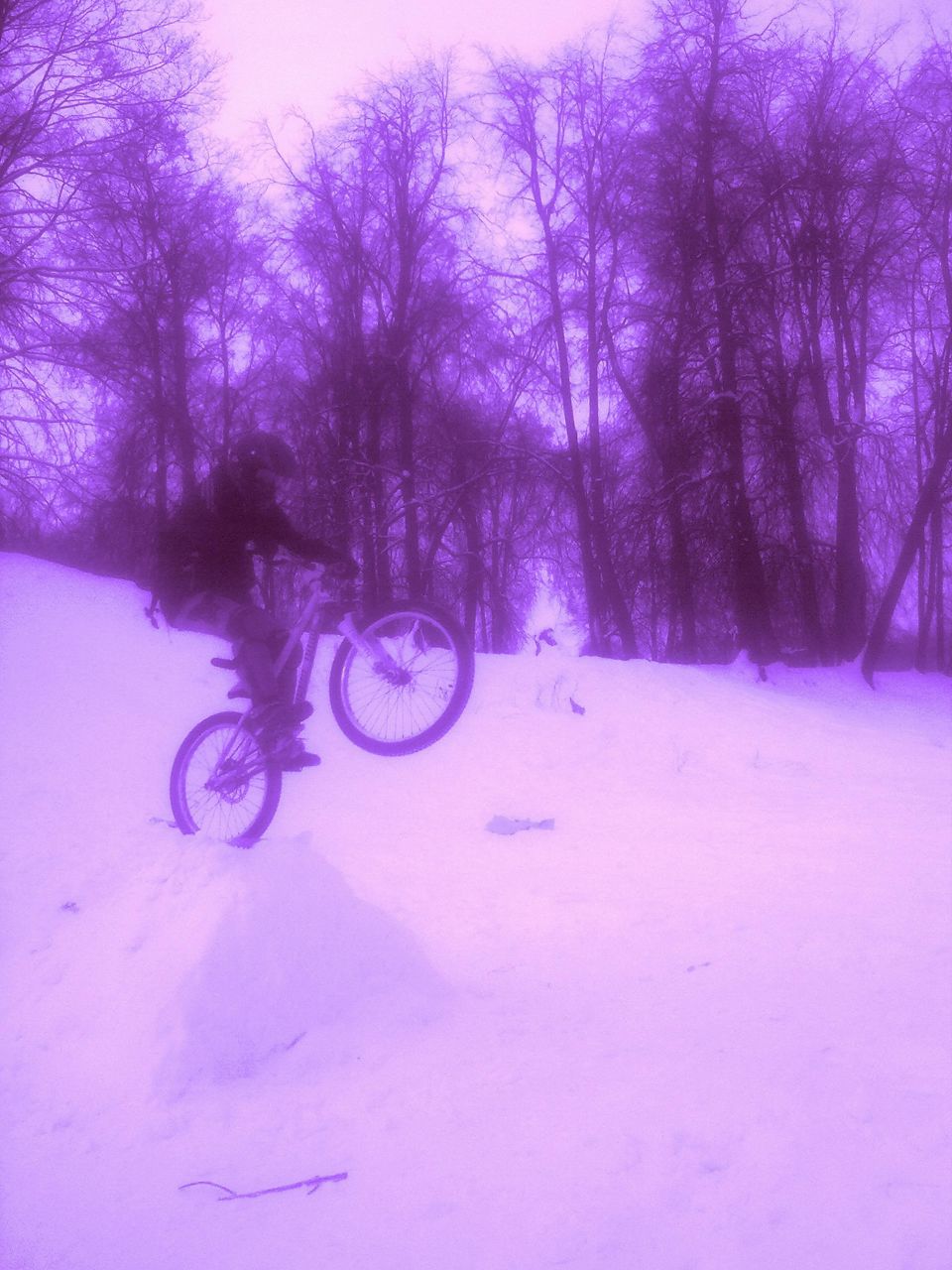 Данила Кахутин | 