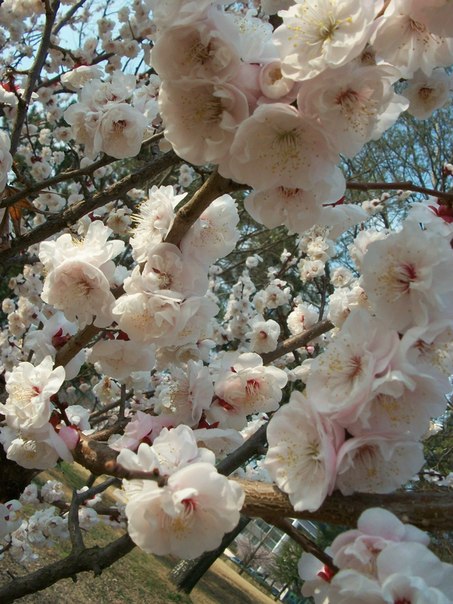 №21, Алина Шиманская, 33 года, Киев №21, Алина Шиманская, 33 года, Киев