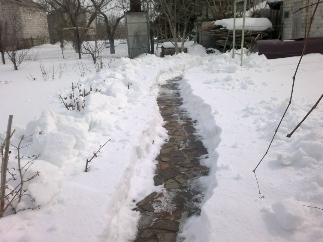 Ольга Шекурова Викторовна | Волгоград