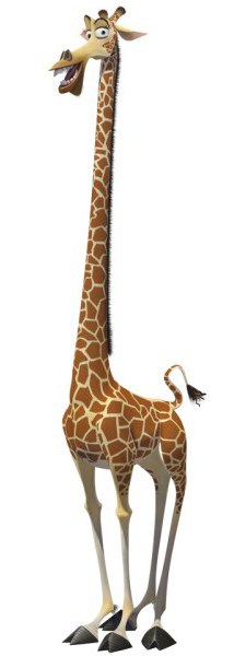 №17, Ждана Дробот №17, Ждана Дробот