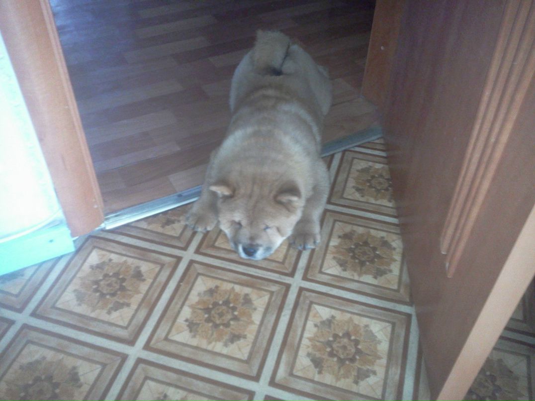 Мария Кремнева | Санкт-Петербург