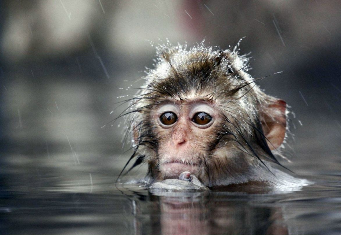 Сергей Кузнецов | Москва