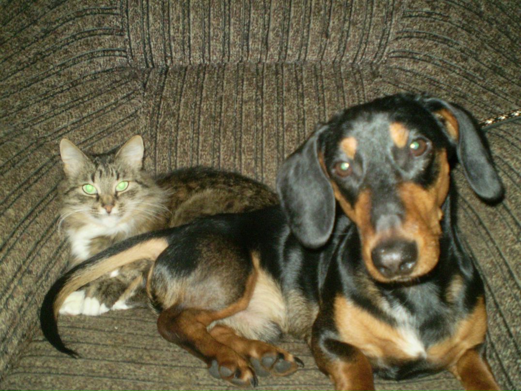 Наталья Дубровская | Москва