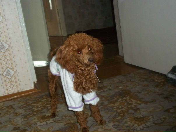 №2, Павел Зубарев, Светлогорск №2, Павел Зубарев, Светлогорск