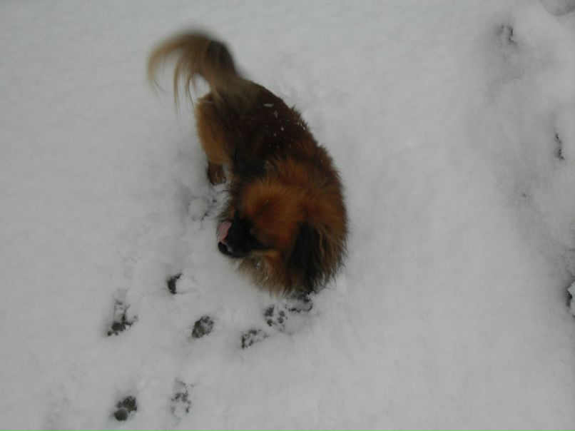 Василий Кутепов | Краснодар