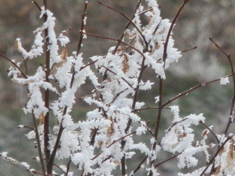 Викуля Федюк | 
