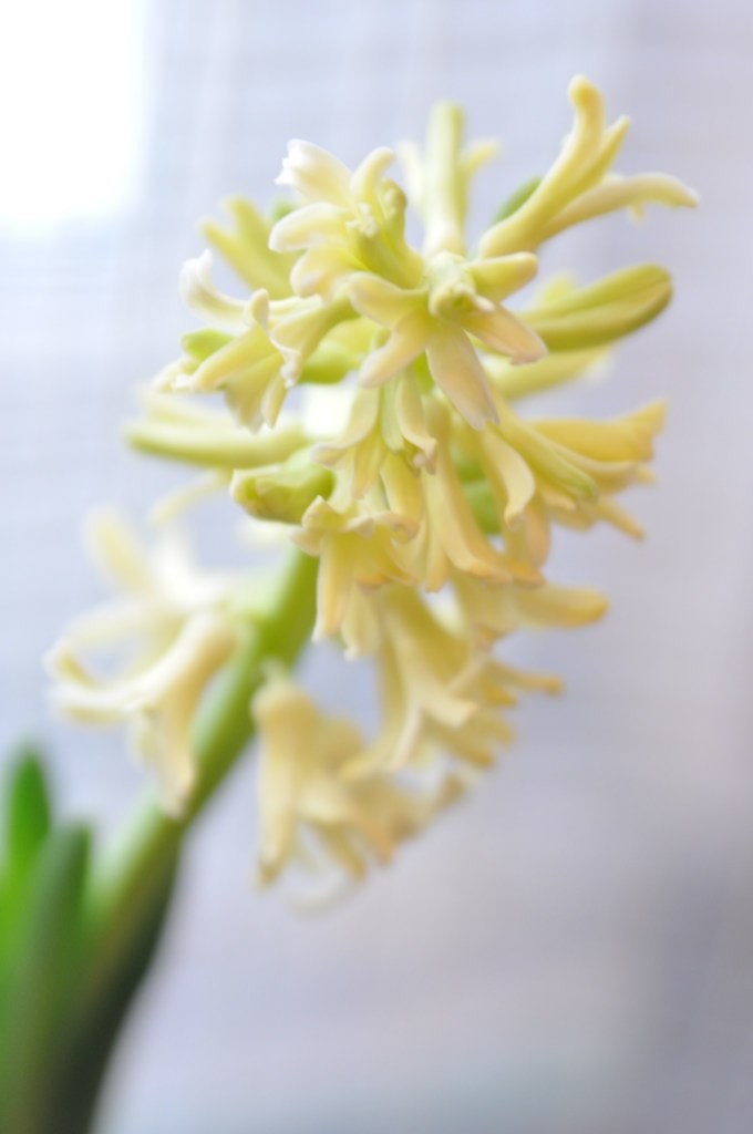 Марина Никифорова | 