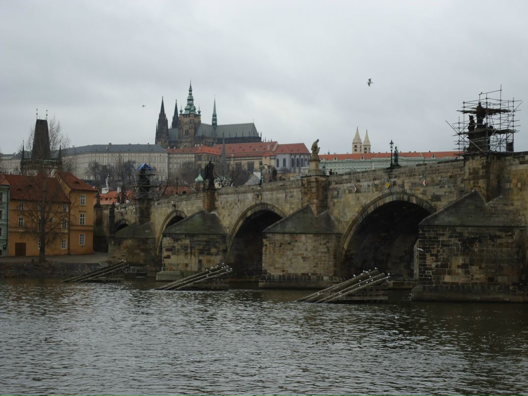 Людмила Ситникова | Санкт-Петербург