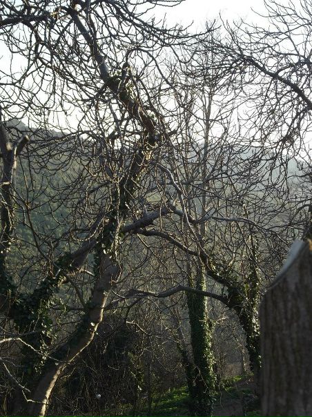 №93, Надежда Борина, 42 года, İstanbul №93, Надежда Борина, 42 года, İstanbul