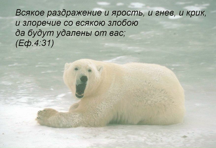 Vetal Билык | Днепр (Днепропетровск)