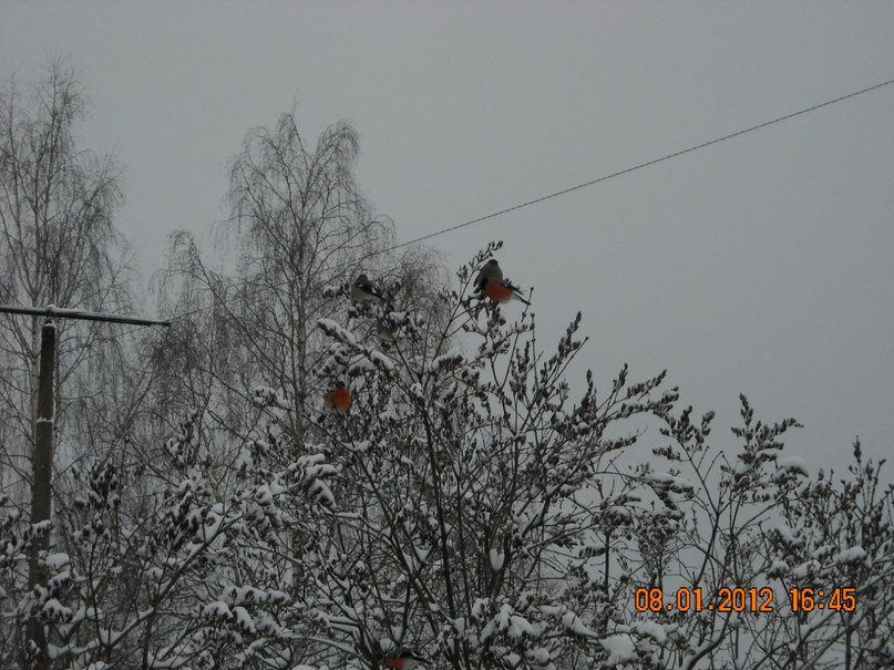 Юлия Малинина | Санкт-Петербург