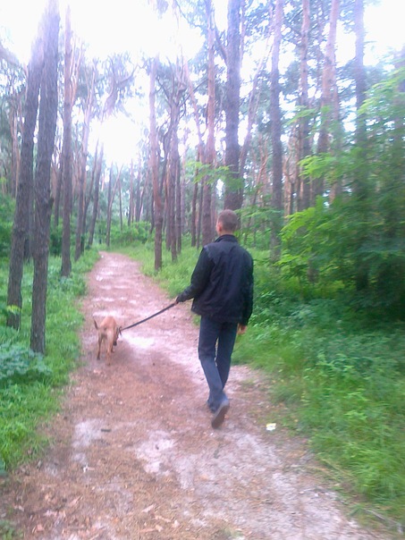 №6, Алексей Удод №6, Алексей Удод