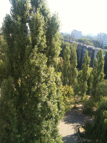 №30, Kate Grgrgr, Чернигов №30, Kate Grgrgr, Чернигов