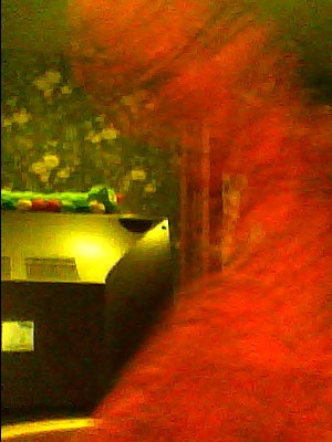 №65, Кристина Никитина, Уфа №65, Кристина Никитина, Уфа