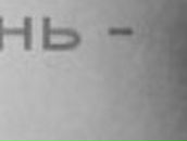 Артем Шутов | Коломна