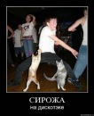 Фотография Сергей Кобзев