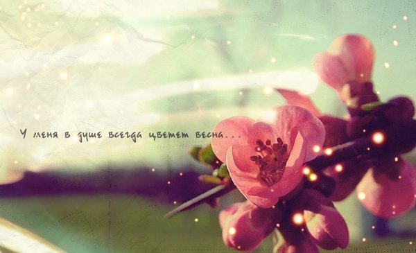 №30, Люда Флэк, 32 года, Тель-Авив №30, Люда Флэк, 32 года, Тель-Авив