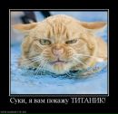 Фотография Роман Пирютко