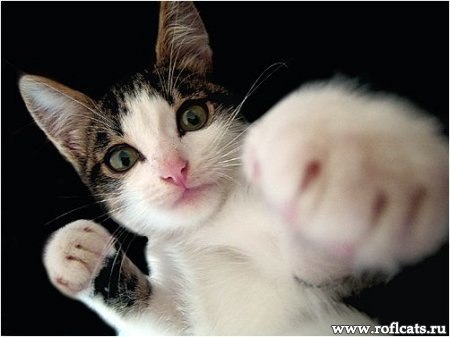 Jeka Best 良遺伝子 | Мариуполь