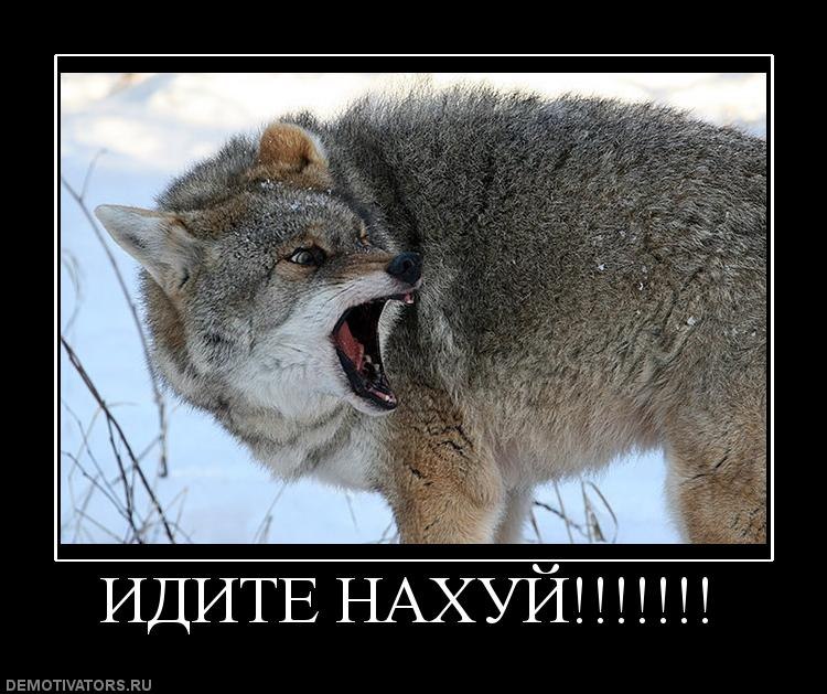 Дмитрий Щерба | Новосибирск