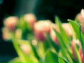 Алька Исаева ★♥★♥★♥★♥Lyalya♥★♥★♥★♥★ | Киев