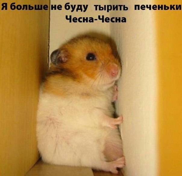 №6, Фархад Гашимов, 27 лет, Москва №6, Фархад Гашимов, 27 лет, Москва