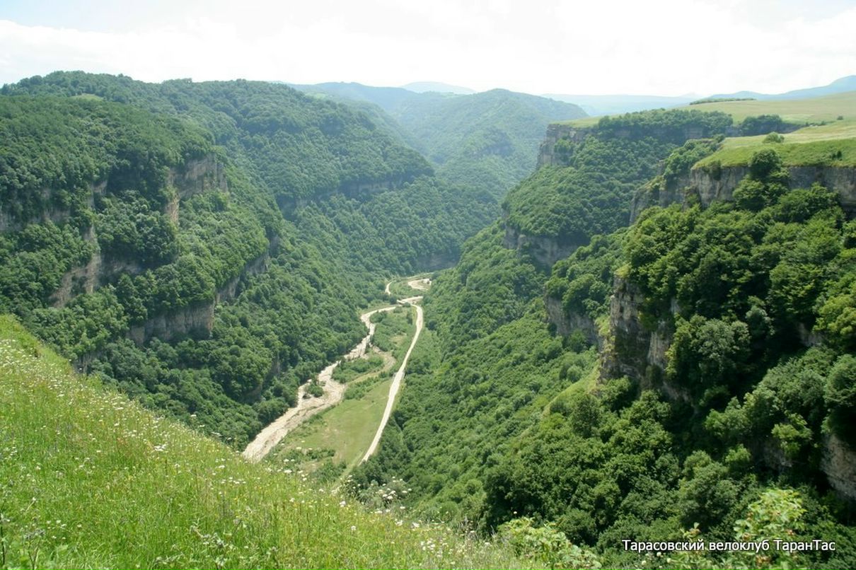 Михаил Пиманов | Мытищи